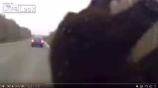 熊と車の事故の瞬間映像、思わず笑ってしまう映像